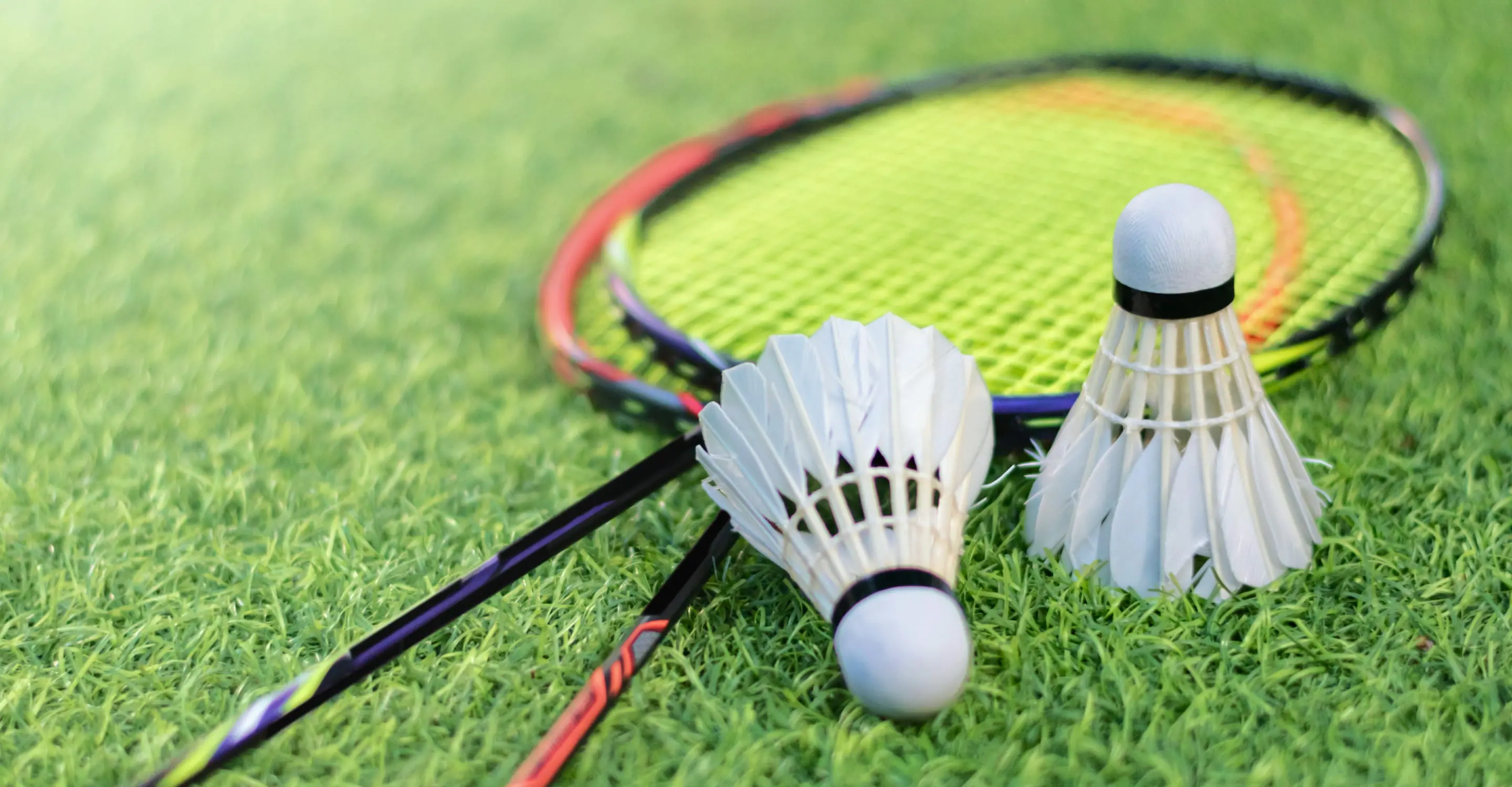 バドミントンを想像させる画像